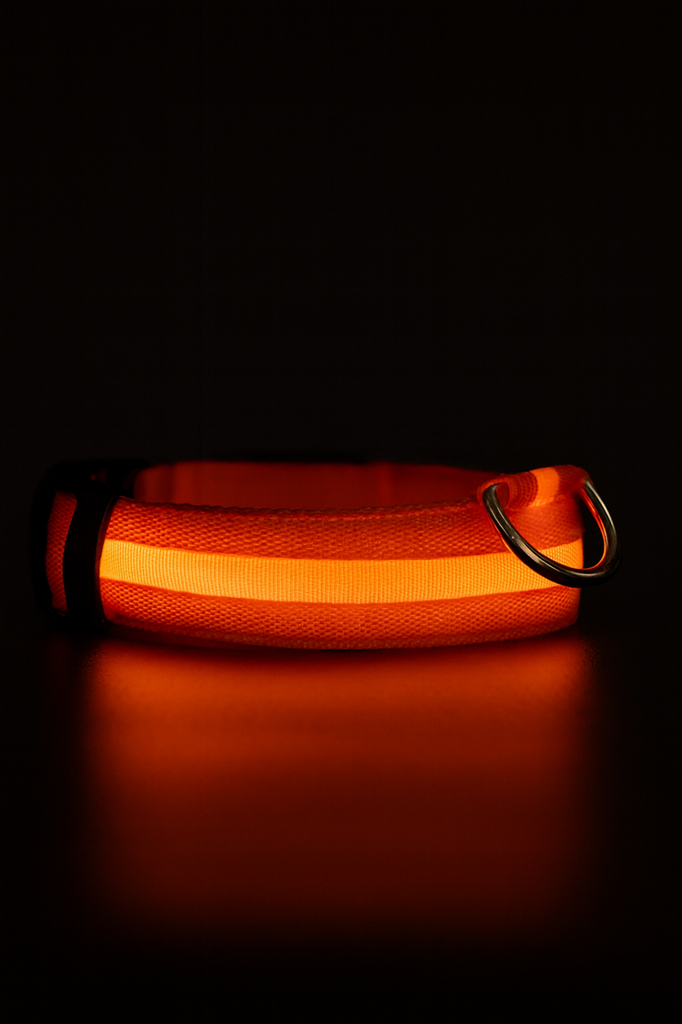 Glowguard Glow Collar