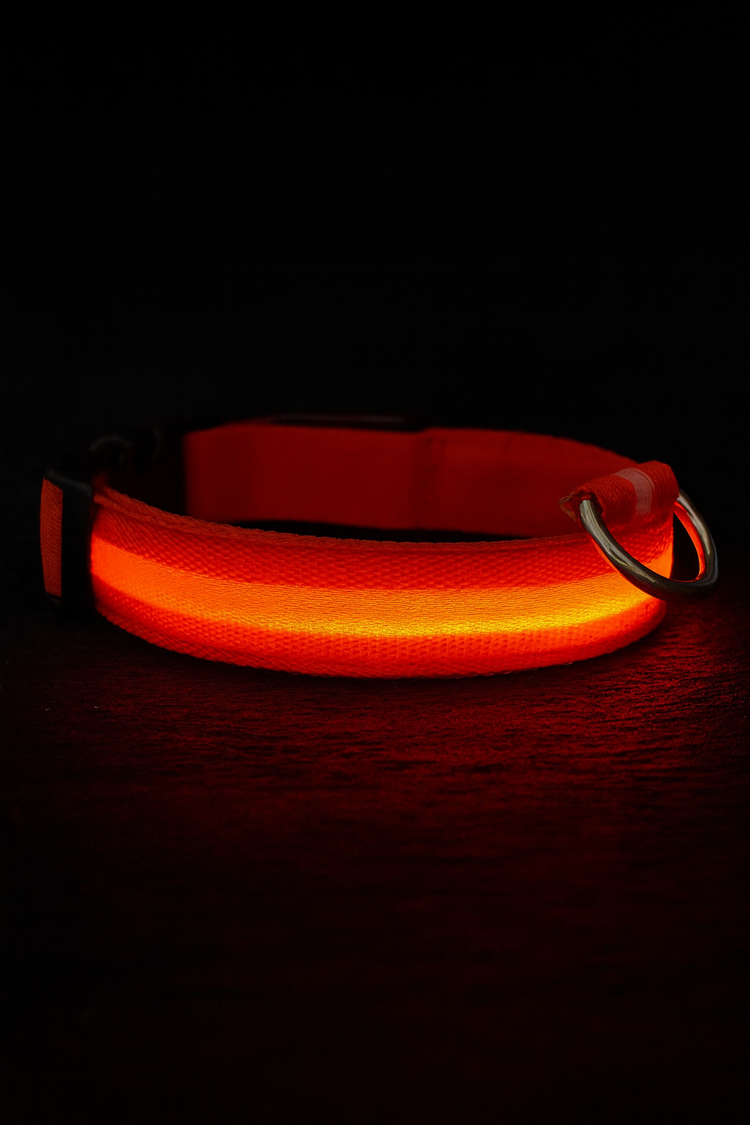 Glowguard Glow Collar